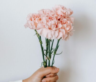 vaaleanpuaniset kukat, äitienpäivä